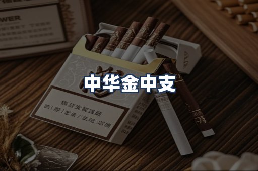 中华金中支